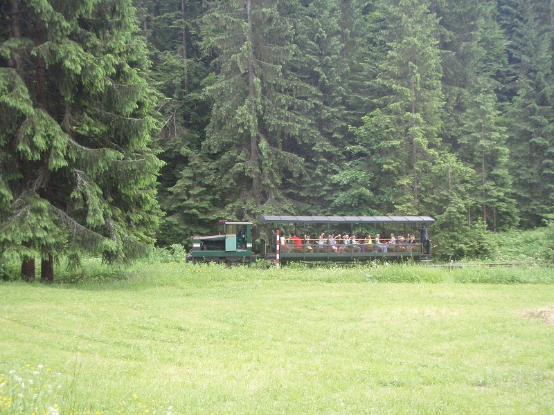 img00022.jpg