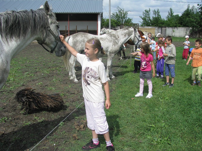 img00001.jpg