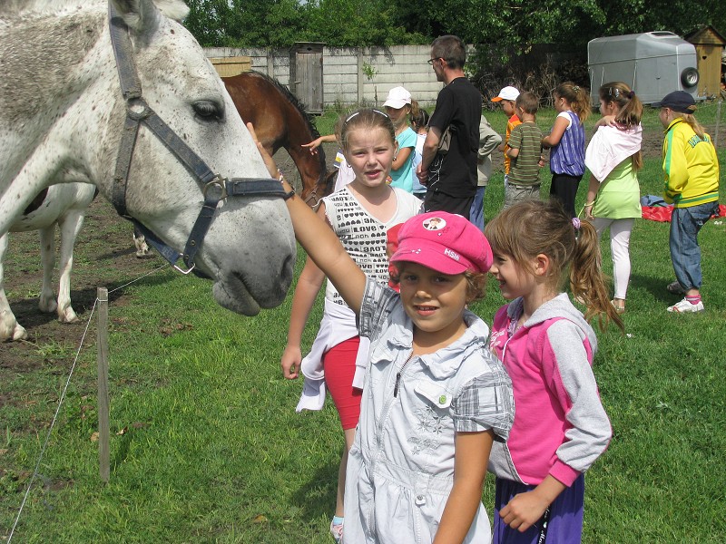 img00002.jpg