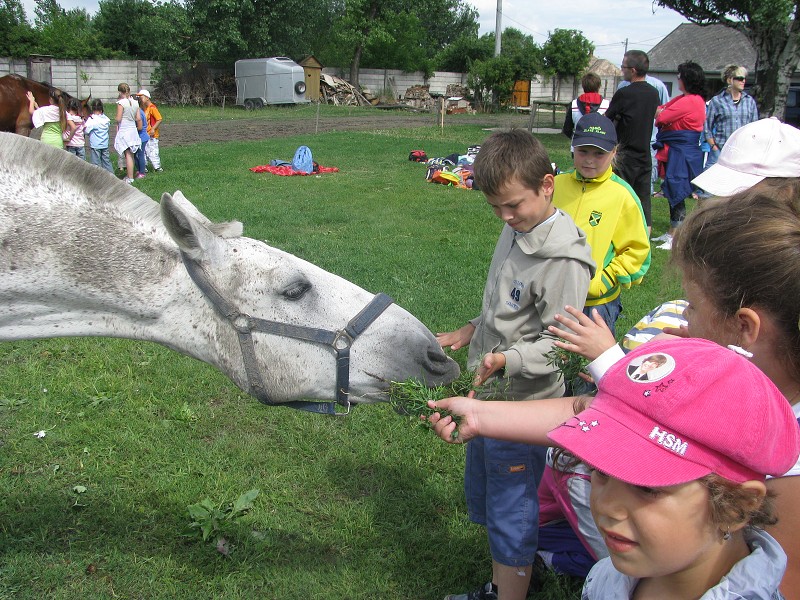 img00003.jpg