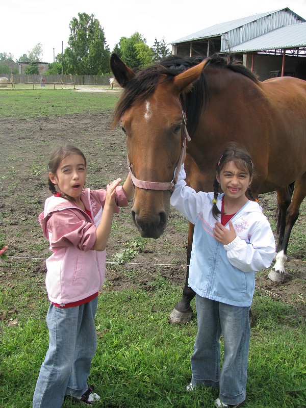 img00005.jpg
