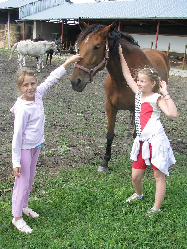 img00006.jpg