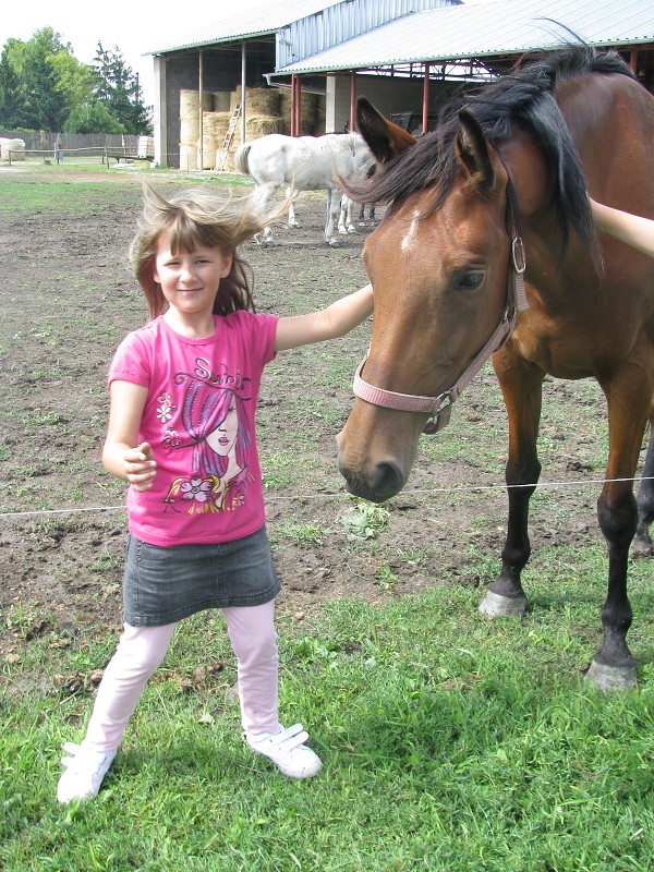 img00007.jpg