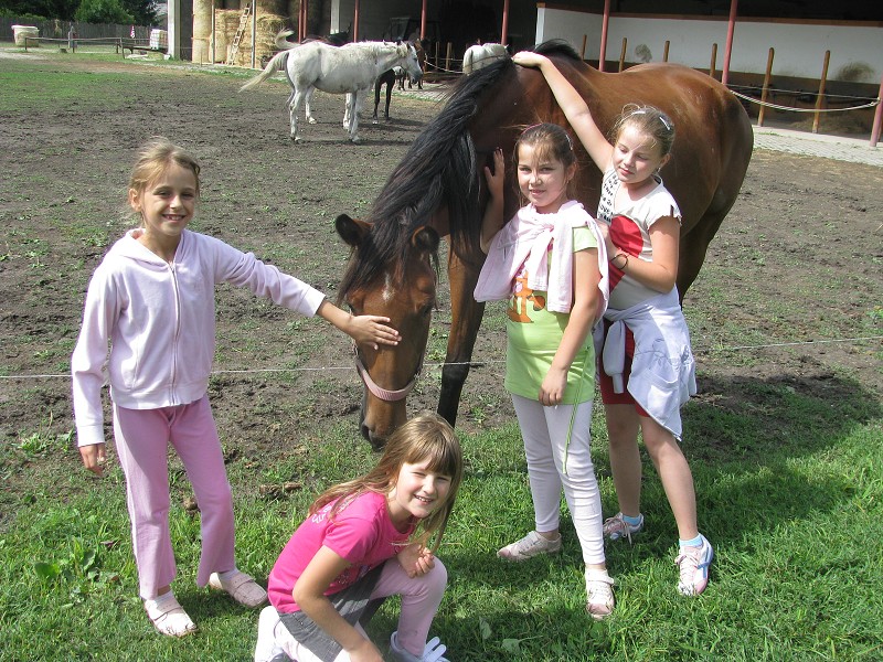 img00008.jpg