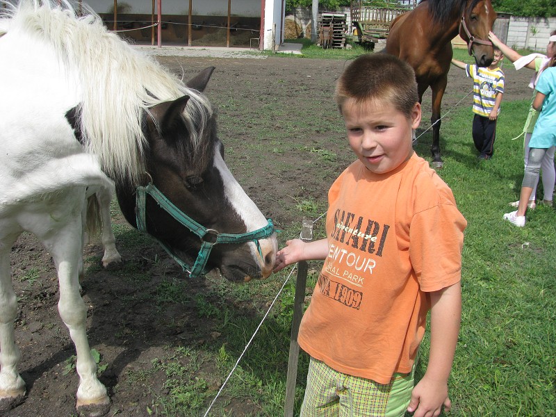 img00009.jpg