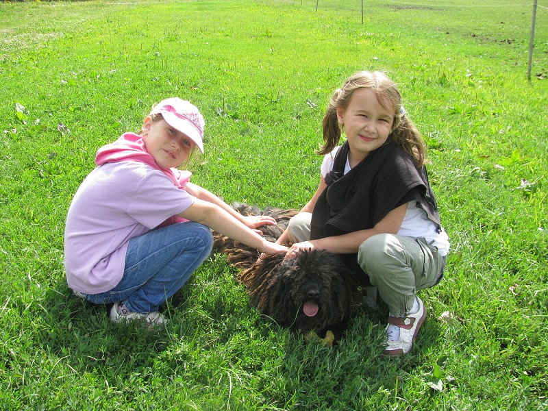 img00010.jpg