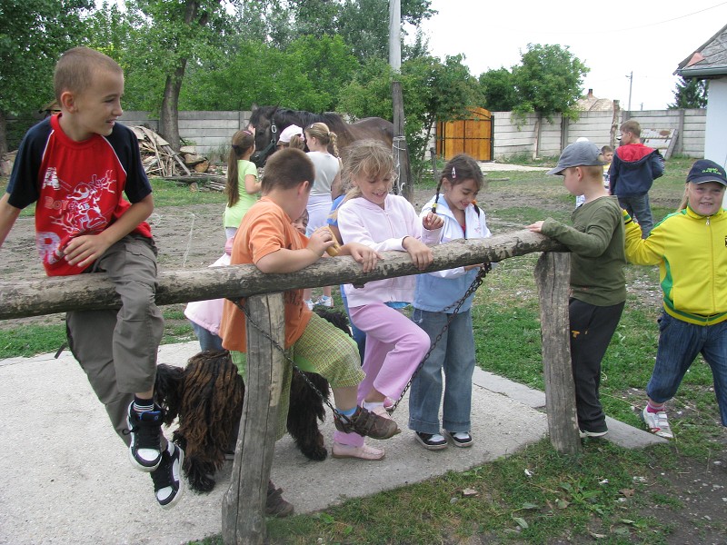 img00015.jpg