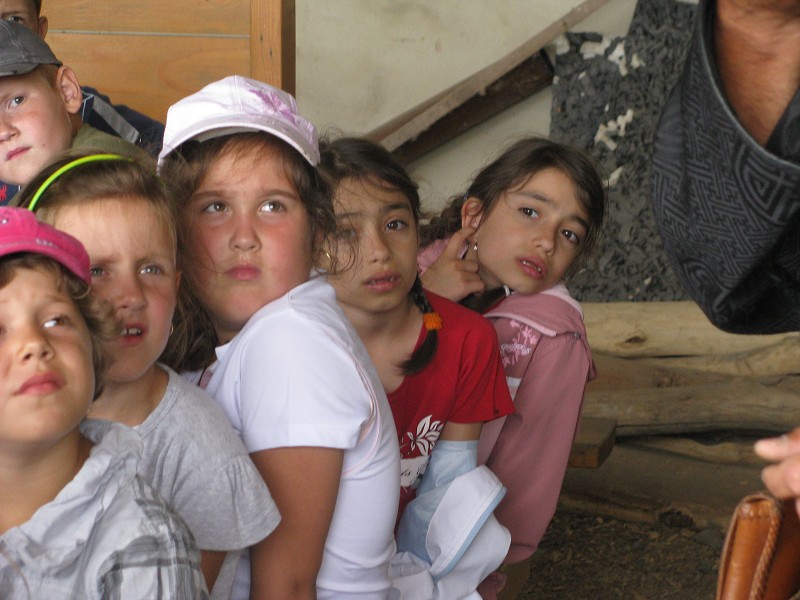 img00026.jpg