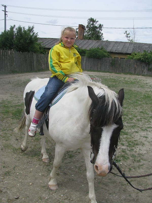 img00031.jpg