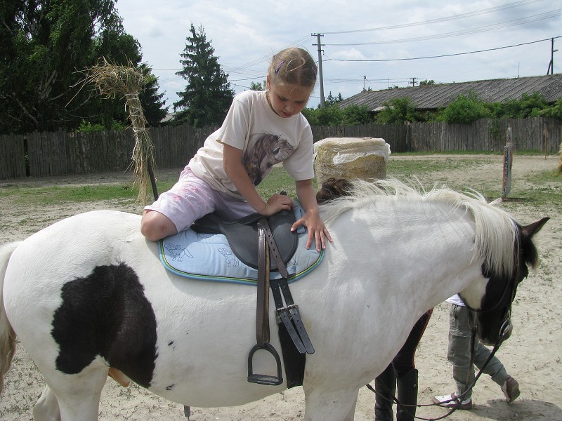 img00035.jpg