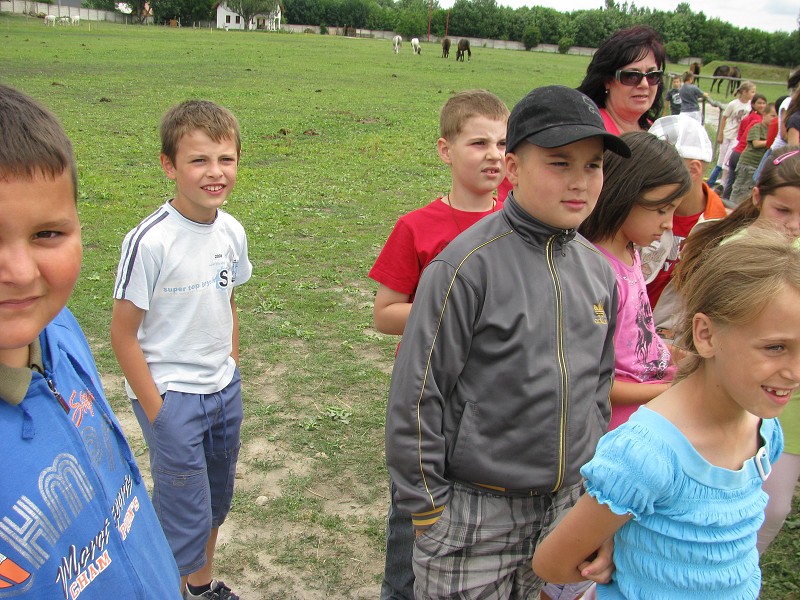 img00043.jpg