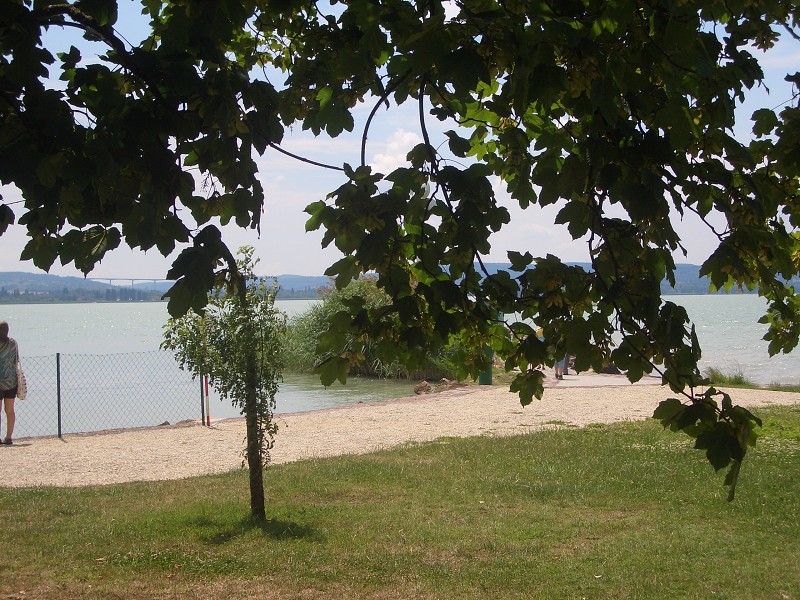 img00017.jpg