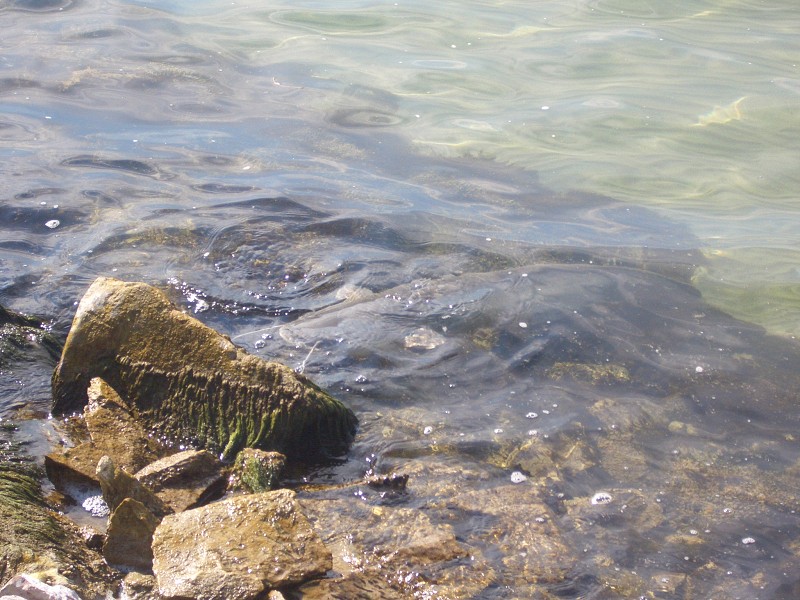 img00020.jpg