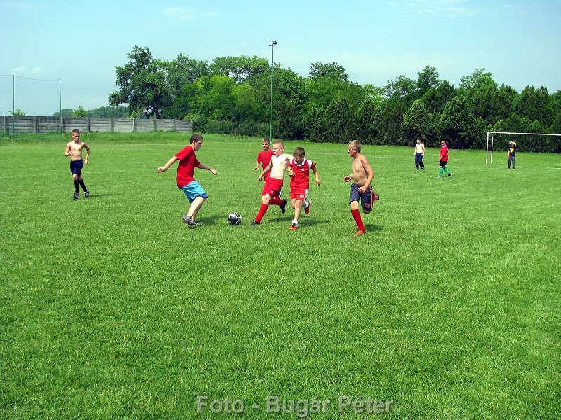 img00156.jpg
