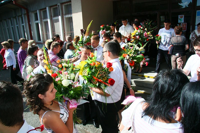 img00156.jpg