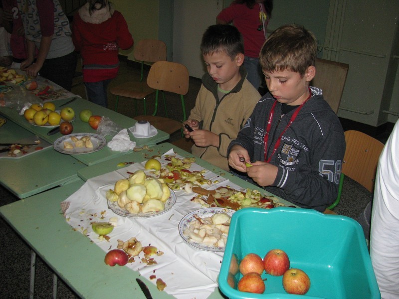 img00044.jpg
