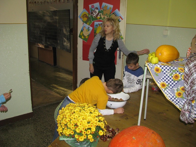 img00048.jpg