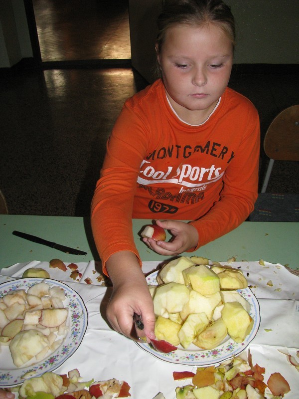 img00049.jpg