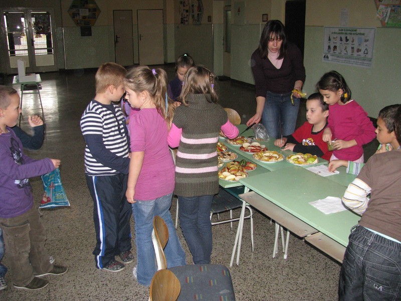 img00051.jpg